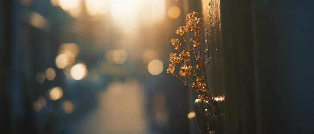 Rokkor 58mm f/1.2
