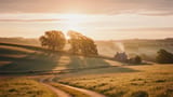 Dawn