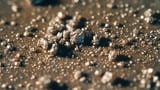Grain Structure / Film Grain / Grain Pattern / Granularity