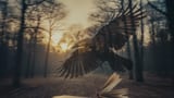 Imagistischer Film