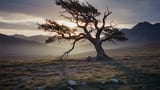 Landscape Film