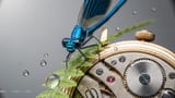 Macro