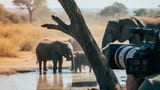 Nature Film