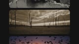 Vertical Montage